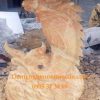 Tượng cá chép hóa rồng