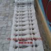 Lan can đá trắng tự nhiên