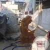 Tượng cá chép hóa rồng đá vàng