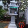 Cây hương đá cẩm thạch
