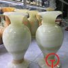 Lục bình đá Pakistan 30cm