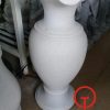 Lục bình đá trắng trơn