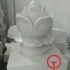 Sen đá để mộ
