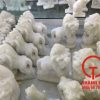 Tượng sư tử đá trắng nhỏ để bàn