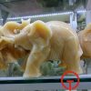 Tượng voi đá ngọc hoàng long